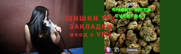 индика Богданович