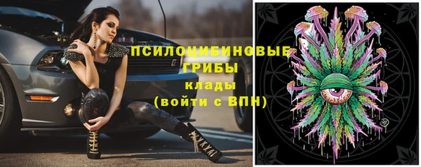 метадон Медвежьегорск