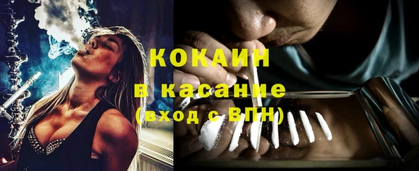 сатива Мегион