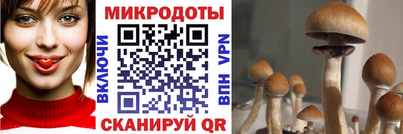 Галлюциногенные грибы Magic Shrooms  MEGA как войти  Белорецк 