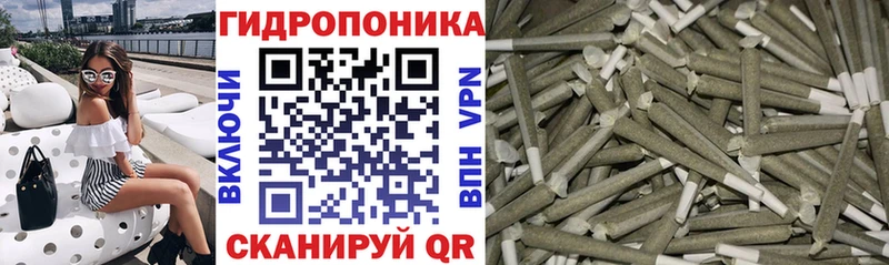 Бошки марихуана тримм  KRAKEN ССЫЛКА  Белорецк 