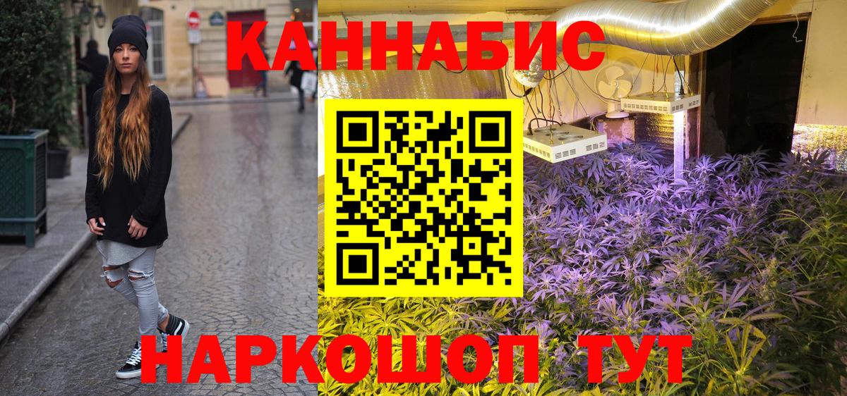 Шишки марихуана семена  Белорецк  Шишки марихуана Amnesia  Марихуана гибрид 